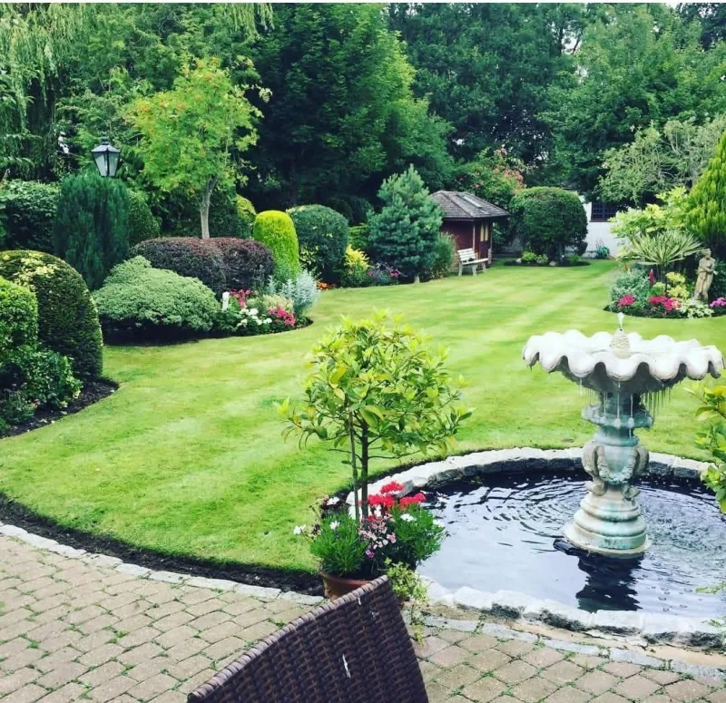 Garden Maintenance project in Bromley by Hollyoaks Gardens