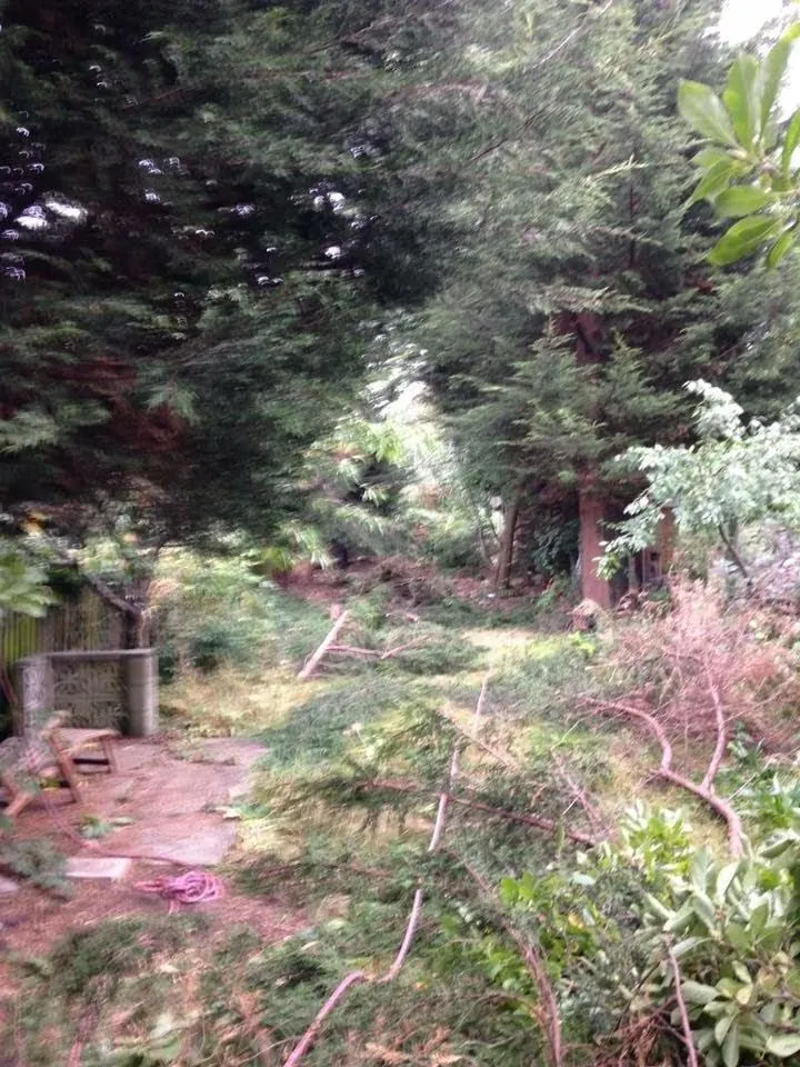 Garden Clearance project in Bromley by Hollyoaks Gardens