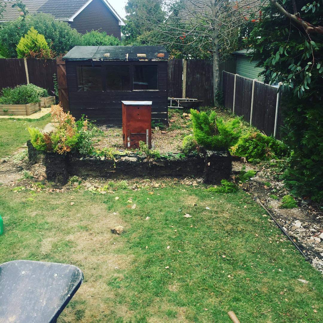 Garden Clearance in Bromley