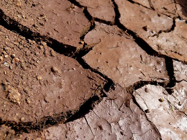 Clay soil
